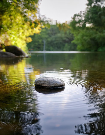 Zen stone in a lake in a park with trees in the backgroundの素材