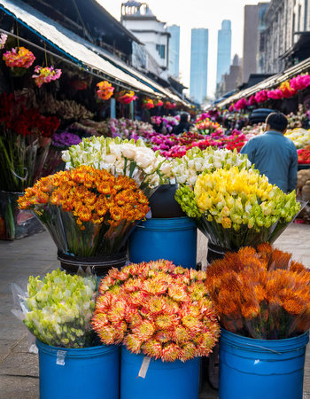 Colorful flowers in the flower market in New York City, USAの素材