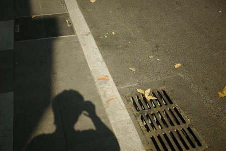 Urban zebra crossing under light and shadowの写真素材