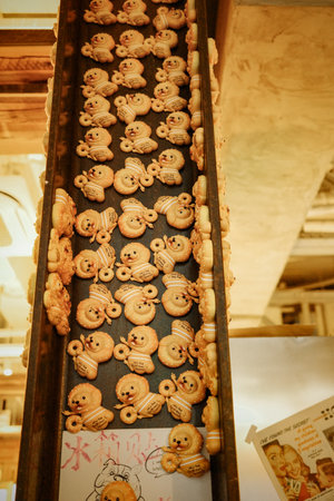 Cookie-shaped refrigerator magnetsの写真素材