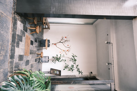 Casual modern style plant small garden design styleの写真素材