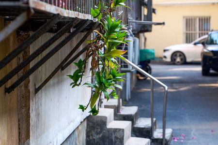Image: Exterior balconies of old residential complexes in China