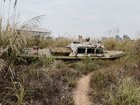 1 Abandoned river patrol boat on reedy land