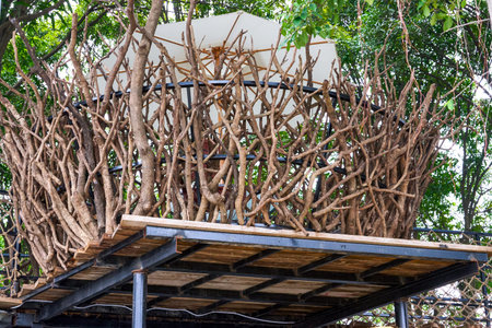 1 Close-up of the guardrail surrounding the city with tree branches