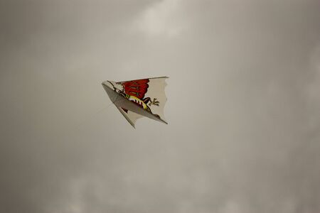 Small kite in skyの写真素材