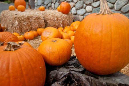 Pumpkins and Hay Bale