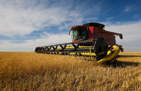 A modern combine harvester working on a wheat crop