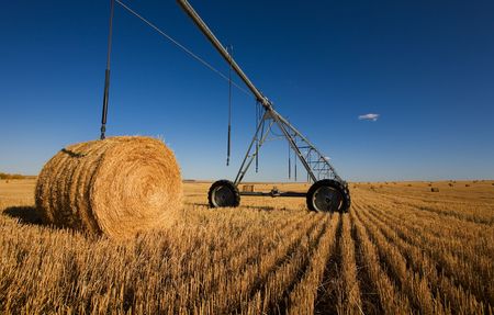 A harvested wheat field with a pivot and bales