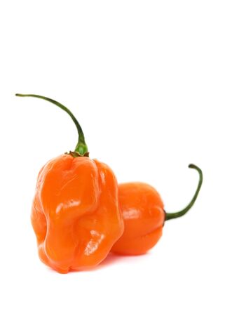 Hot habaneros on a white backgroundの写真素材