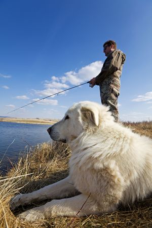 A man and his dog enjoying a day together at the lake