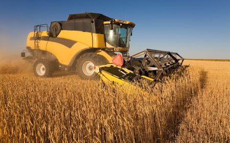 A yellow  combine harvester working in a wheat field