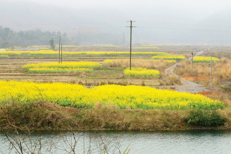 Rural landscape in winter in southern Chinaの写真素材