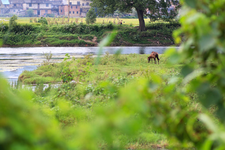 Rural natural scenery in Jiangyong County, Yongzhou, Hunan, Chinaの写真素材