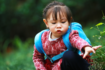 Cute little girl reaching for the grassの写真素材
