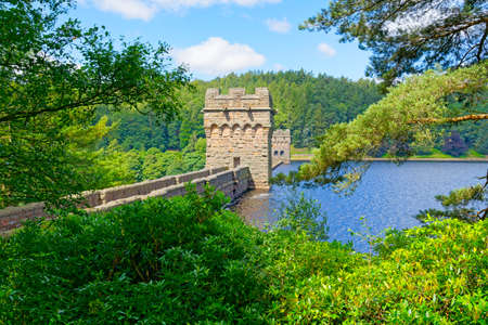 Looking through dense foliage to the towers of Howden Dam on a hazy summer day