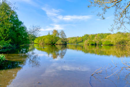 Bright spring morning beside a lake surrounded by trees and bushes that are mirrored in the gently rippled water. HDR imageの写真素材