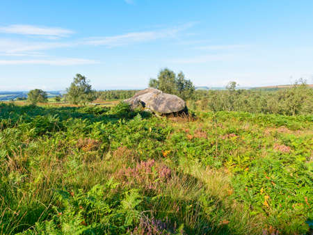 In the Derbyshire Peak District a large gritstone rock sits surrounded by ferns, bracken and heather.の写真素材