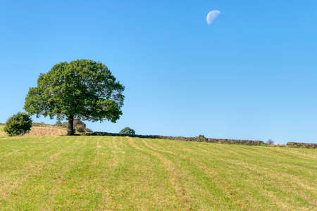 A large, low, daytime moon in blue sky over a field bordered by a stone wall in the Derbyshire countrysideの写真素材