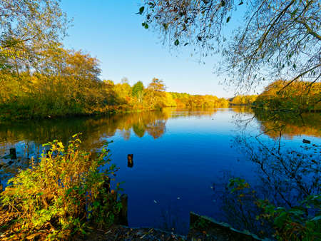 A bright morning on the shore of a still lake fringed with trees and shrubs in full autumnal colour.の写真素材