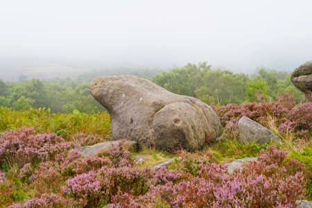 A frog shaped gritstone boulder in the fog at Surprise View in the Derbyshire Peak Districtの写真素材