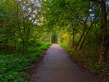 Beneath the branches of small trees and lush undergrowth a damp footpath leads to a narrow wooden...