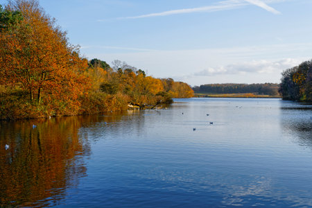 Late afternoon on a hazy autumn day beside the still water of a tree lined lakeの写真素材