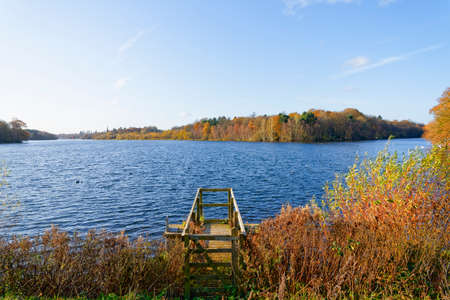 A hazy, sunny, autumn afternoon at the side of a large tree lined lakeの写真素材
