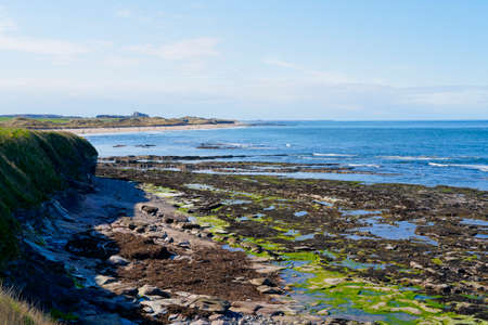 Down the Northumbrian coastline from Seahouses to a far distant beach and beyondの写真素材