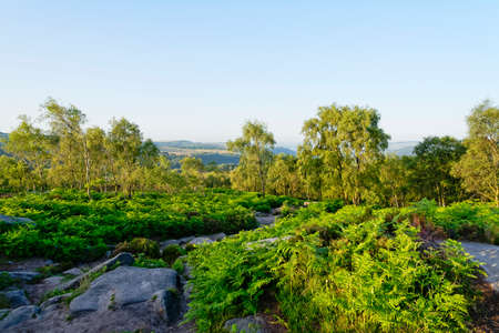 From the top of Surprise View, looking over the tops of trees to a misty Derbyshire landscapeの写真素材