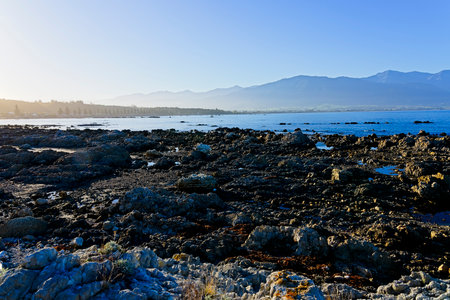 Low tide exposes the rocky shores of Kaikoura peninsula on a summer evening.の写真素材