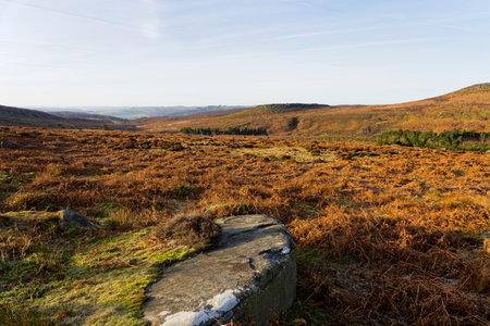 Beside a half buried lichen covered gritstone slab, looking across Burbage Valley to a distant Carl Wark fort.の写真素材