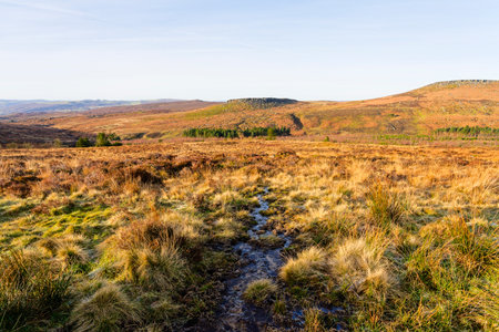 Following a rivulet of rainwater down the slope of Burbage Valley towards a distant Carl Wark fort.の写真素材
