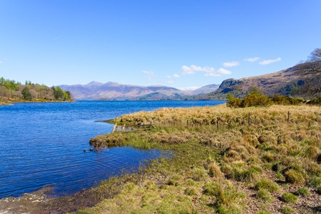 On the shores of Derwent Water looking from Great Bay and up towards Lords Island and Keswick.の写真素材