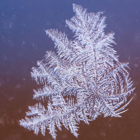 Close up photo of frost on window shows interesting pattern