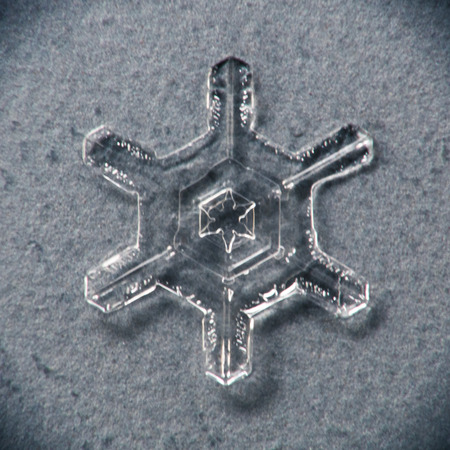 Single melting snowflake macro with gray/blue backgroundの写真素材