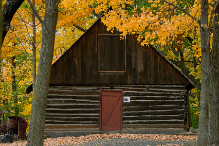 an old log cabin is surrounded by autumn leaves in almelund, mn.の写真素材