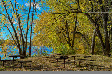 picnic tables and grill, surrounded by a golden autumn forest, along the st croix river, in st croix state park, minnesota.の写真素材