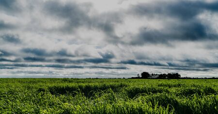 Green fields stretching to the horizon. The sun shines through the clouds