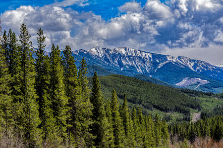 Snow covered Canadian Rocky Mountains, Range Road 51A, Kananaskis Country, Alberta, Canadaの写真素材