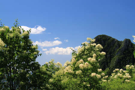 Closeup of mountainの写真素材