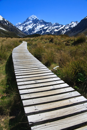 Wooden Path leading to Mount Cook, New Zealandの写真素材