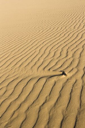 Sand dune ripplesの写真素材
