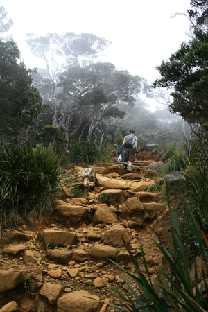 Woman Climbing Mount Kinabalu, Borneo, Malaysiaの写真素材