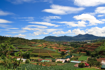 Vietnam Landscape of farm fields in Dalat highlands, Asiaの写真素材
