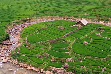 View over river and rice paddy terracesの写真素材