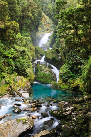 Waterfall in turquoise stream deep in the new zealand rainforest in the Fjordland National Parkの写真素材