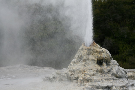 Eruption of Lady Knox geyser in Rotorua, New Zealandの写真素材