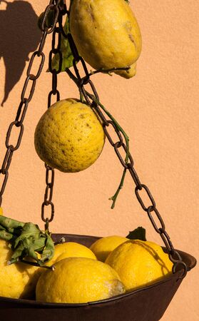 Lemons on display in local produce marketの写真素材