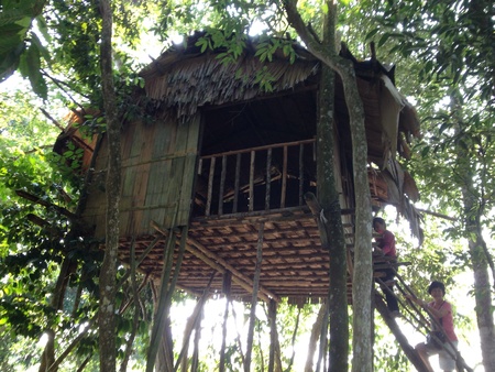 Tribe Tree House Tribe Tree House