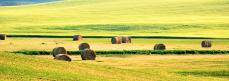 Prairie land in Canada.